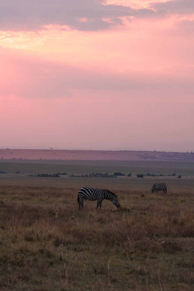 safariedited-135