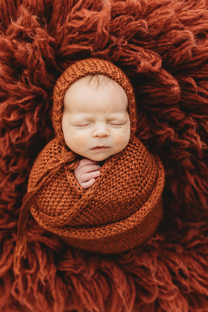 A curious toddler and a relaxed dog peek over the edge of a sofa, watching over a newborn baby, masterfully captured by a Harrisburg newborn photographer, swaddled in a red blanket resting on