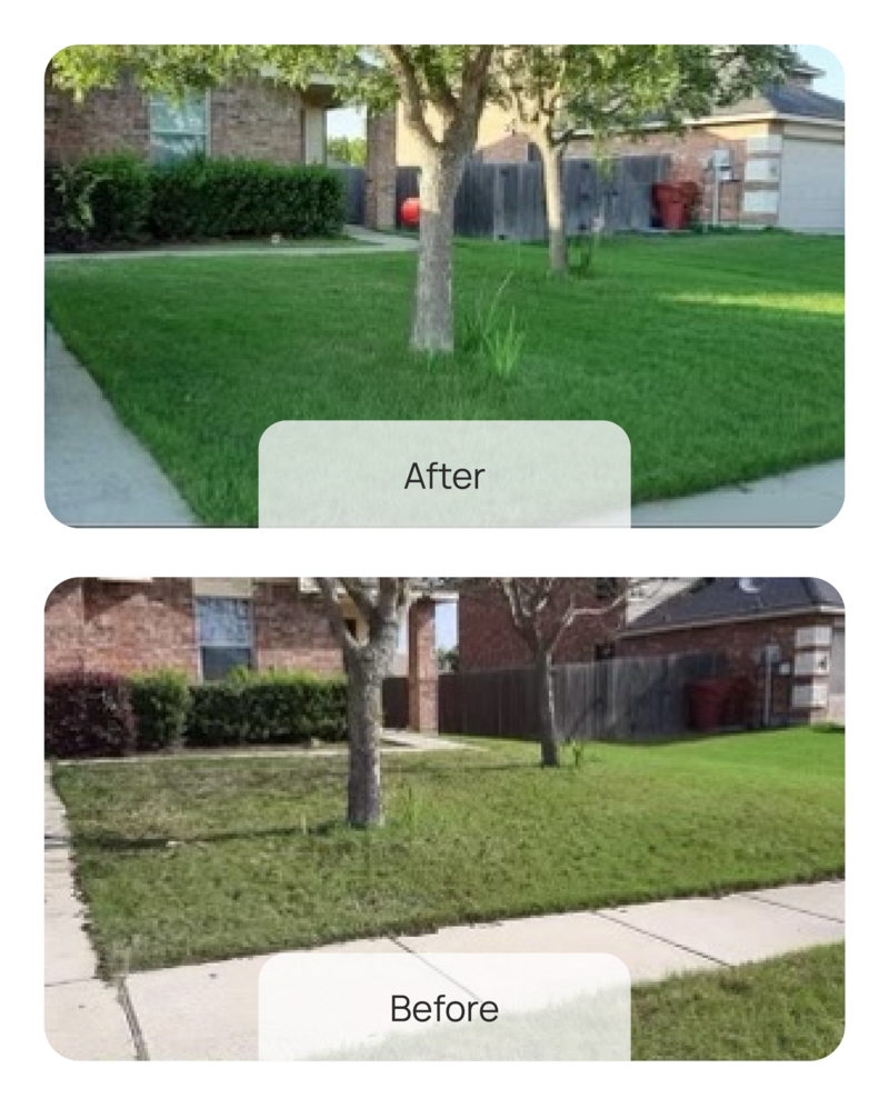 Five Star Fertilizing Before & After - 1