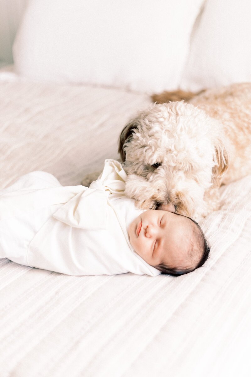 baby wrapped in swaddle for Peoria, illinois newborn photos 