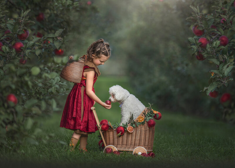 "Ottawa children’s photo – girl feeding dog in stroller at apple orchard"