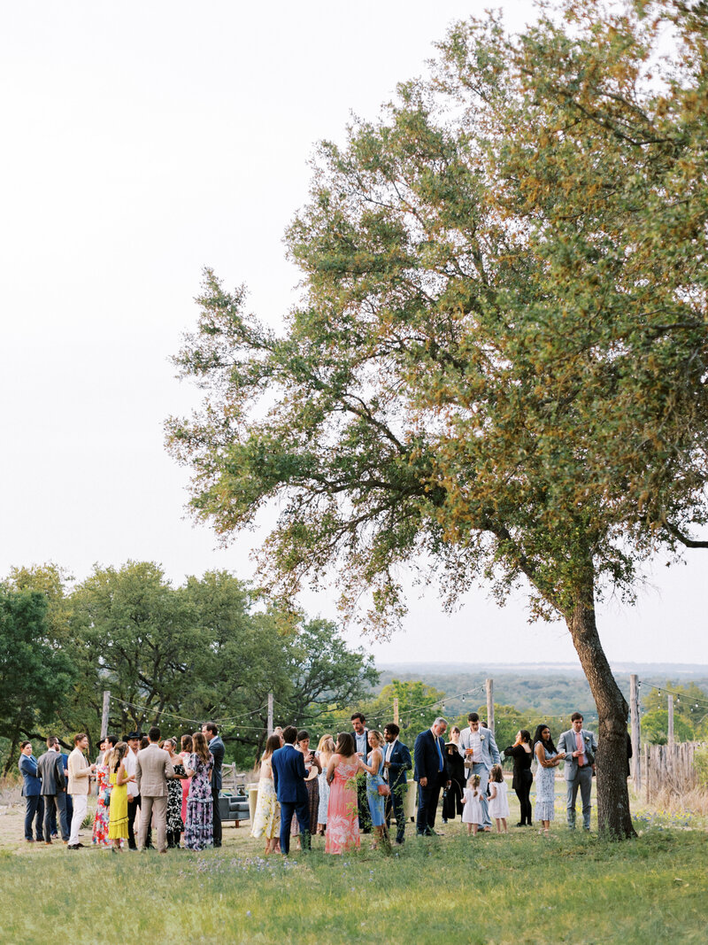 Wedding guests standing outside under a tree and string lights