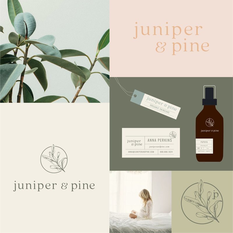 Juniper Pine