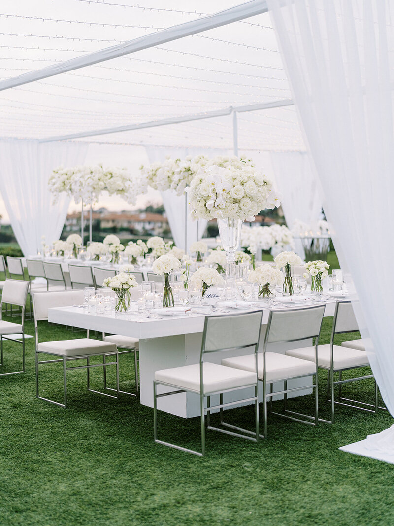 ericastreelman_jenesa and avi-52