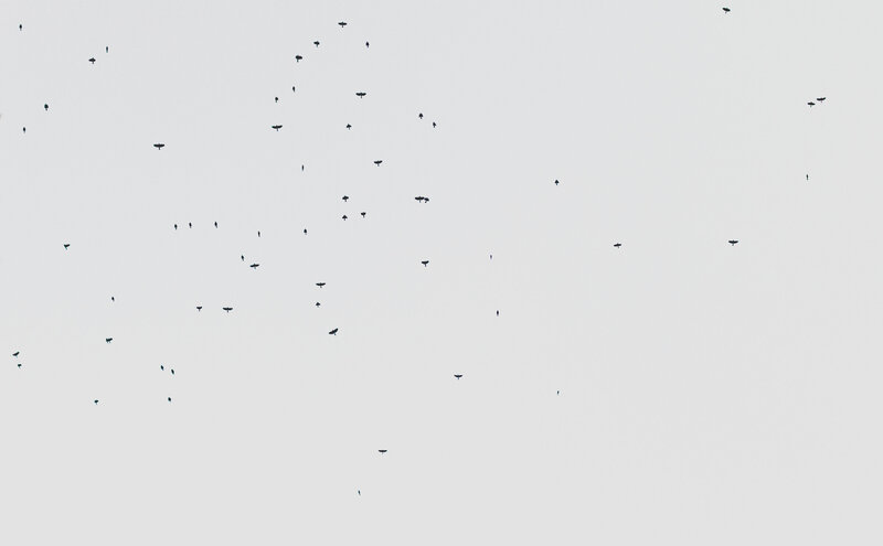 0N3A0628