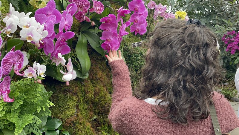 A wellness coach stands in a lush botanical garden, looking up and smiling at the beautiful big blooming white and purple orchids. The bright colors and natural beauty of the orchids create a sense of peace and tranquility. The image evokes feelings of relaxation, self-care, and mindfulness, making it perfect for anyone interested in wellness and personal growth. The wellness coach's smiling face and posture suggest positivity and encouragement, inviting viewers to join her in her practice. [Nicole QW]