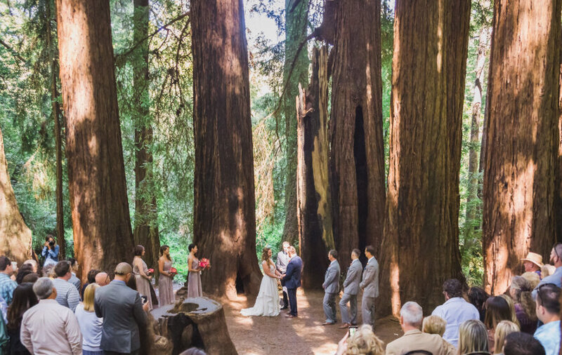 Olympic National Park Wedding in Hoh Rainforest with moss-covered trees.