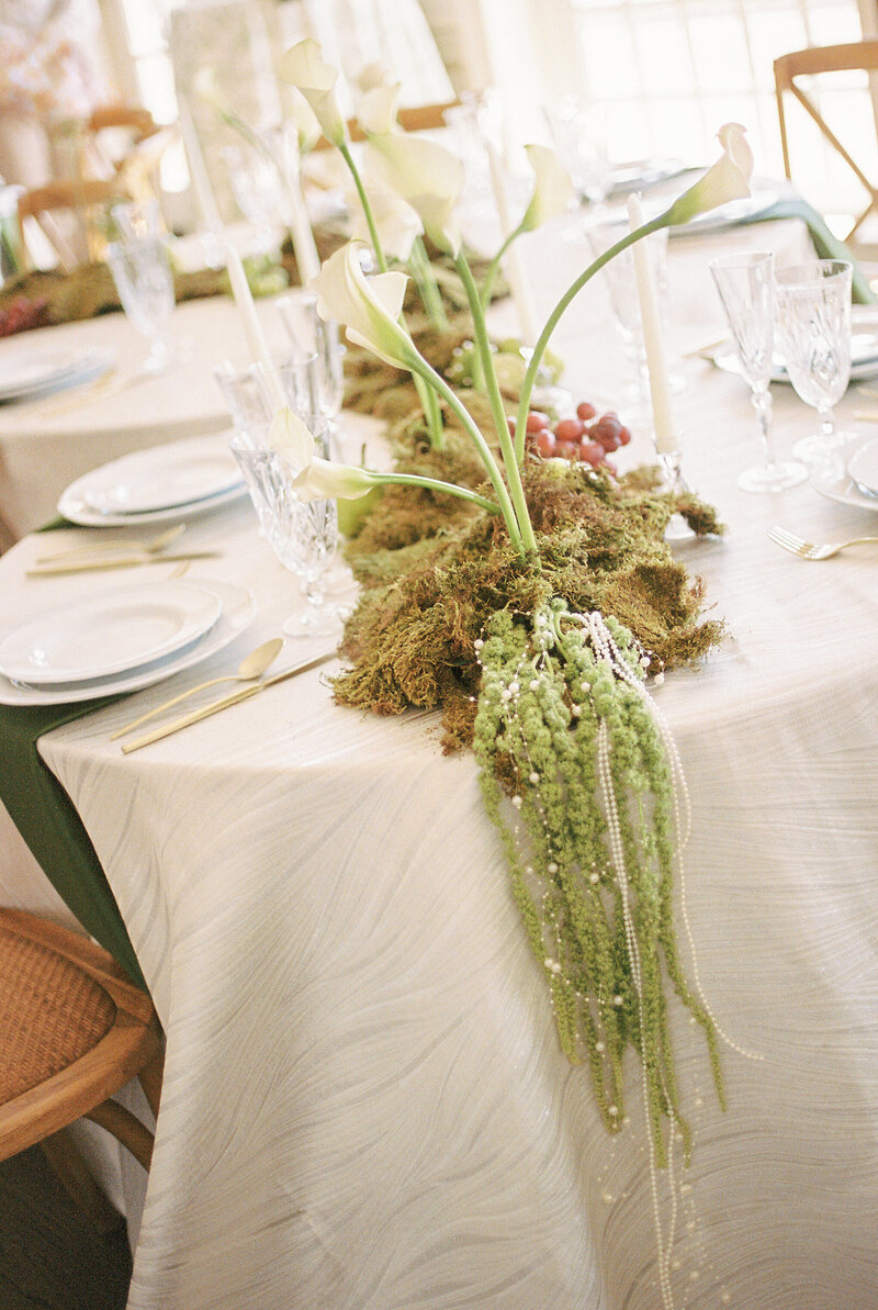 Virginia-Spring-Intimate-Wedding-Estate-at-River-Run-on-35mm-Film-11