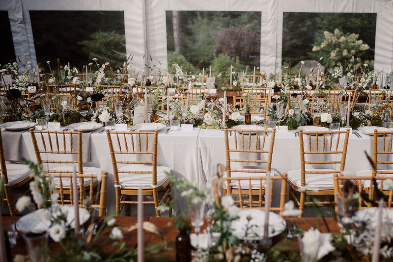 Shelby_Sam(316of843)