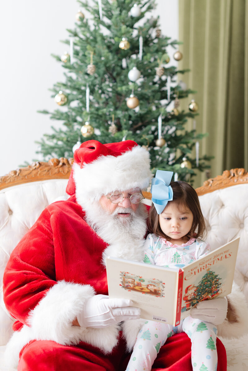 Leslie Nice Photography Santa-2654