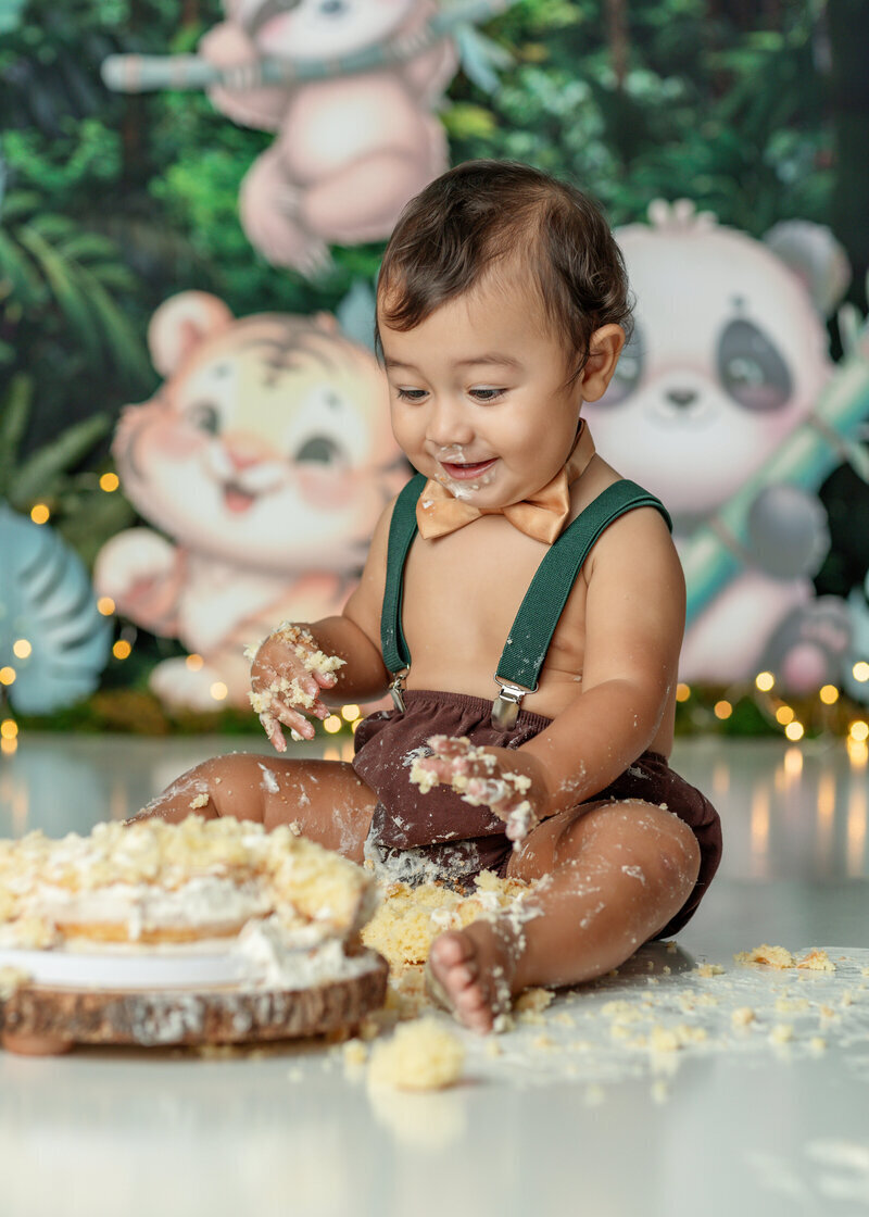 Photographer, Photography, Cake Smash Photographer Near Me, Newport News, Virginia, Hampton Roads, Chesapeake, Williamsburg, Yorktown, Virginia Beach