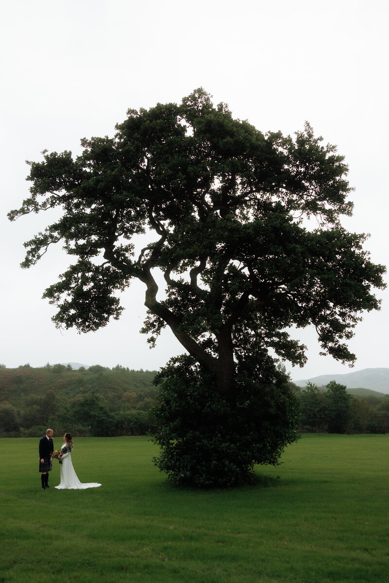 couple newlyweds under tree