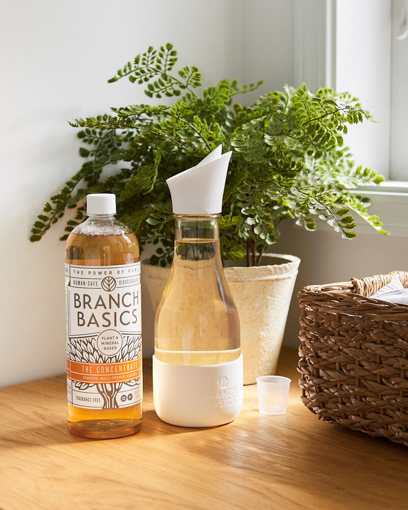 BranchBasics0147 1