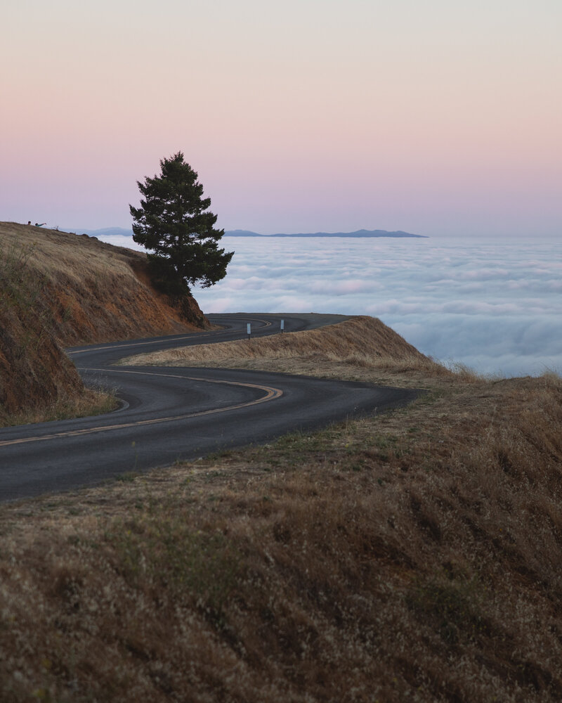 Sunset Drive on Mount Tam