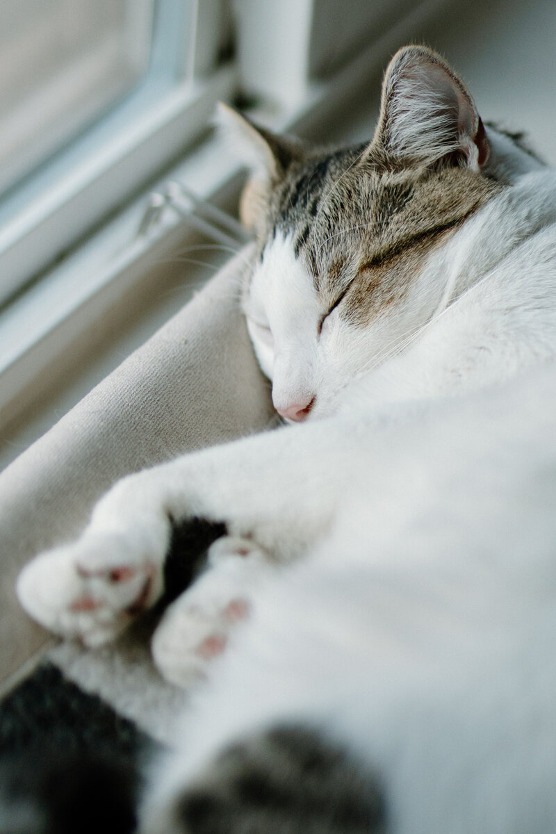 luckylady_2025-KAYLAESPARZAPHOTOGRAPHY-134