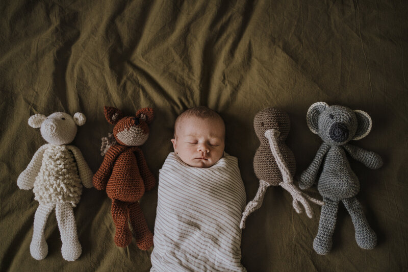 HAZEL_Newborn_by_little_glimpses-1081