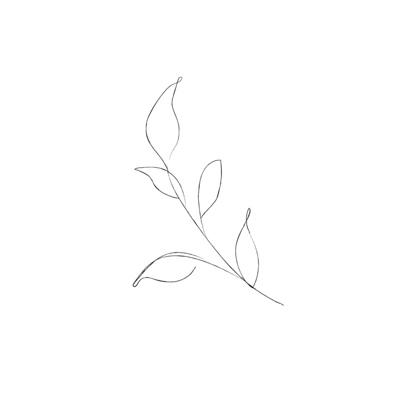 leaf minimalist drawing