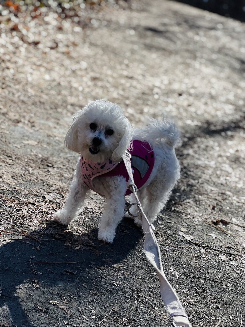 Floof