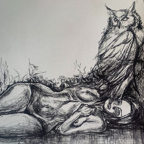 girl-with-owl