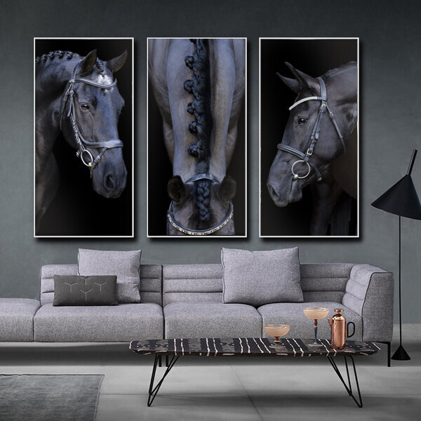 Equine Horse Portraits in Los Angeles Home