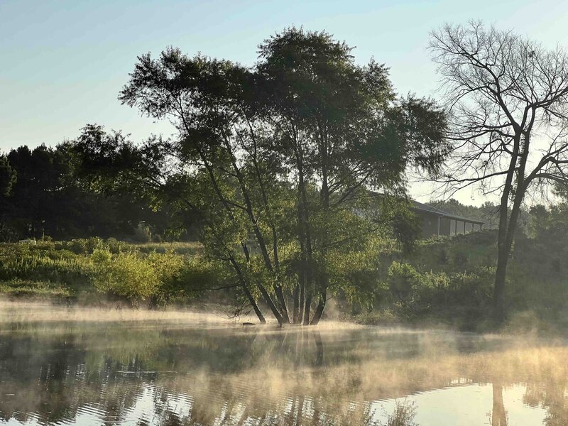 Morning Mists