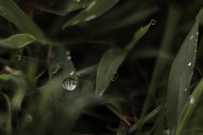 2025-08-22-PhotoWalk-999_4