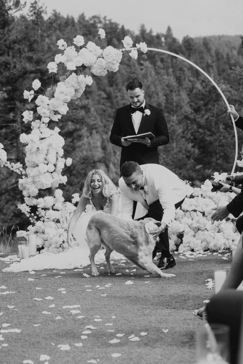 dog-ring-bearer-wedding-attendant