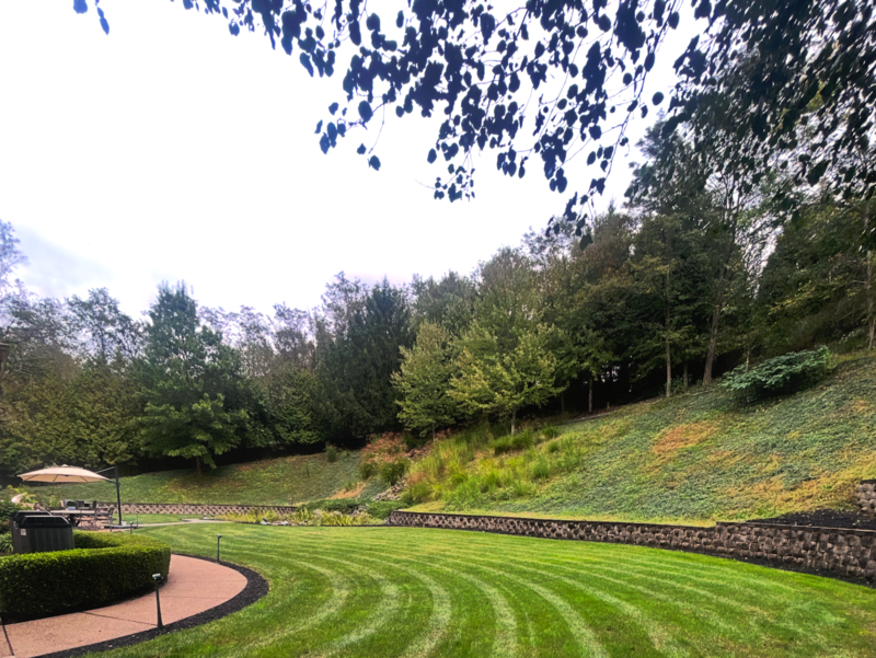edited residential groomed lawn landing page