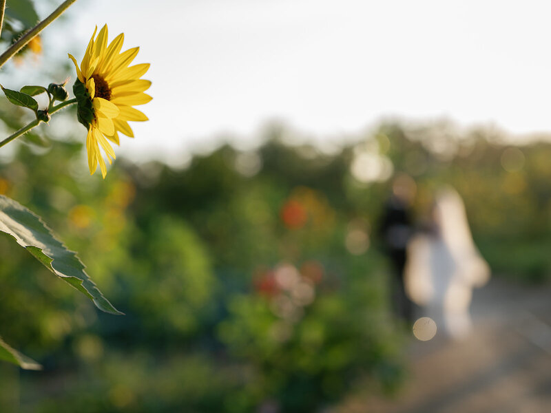 MS-A+B-Wedding-Wedding Previews-145