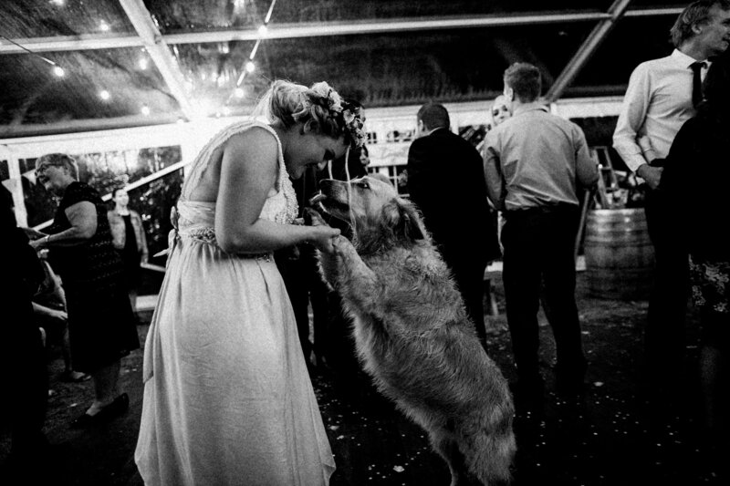TTWWR-Animals-at-weddings-2048-2