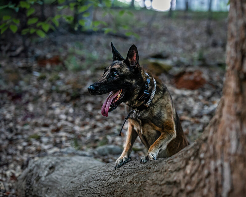 0T7A8922-Edit