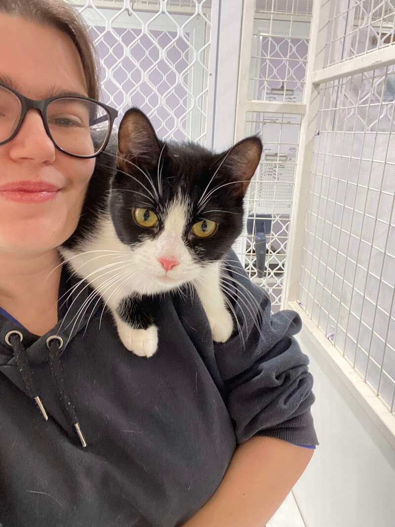 Paradise Pet Retreat Cattery