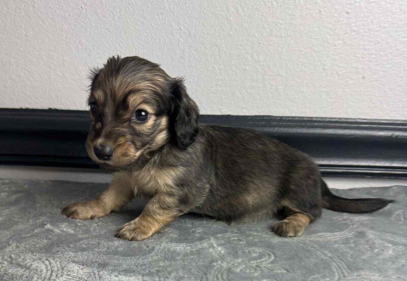 2377e68c-838a-497d-b0c0-6d73c0da1fed