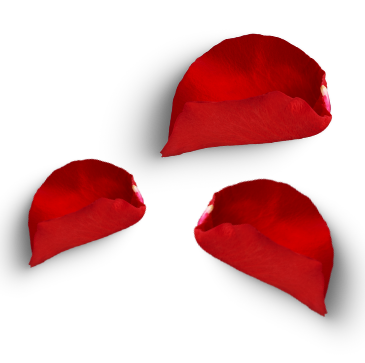 Sacrificial Love