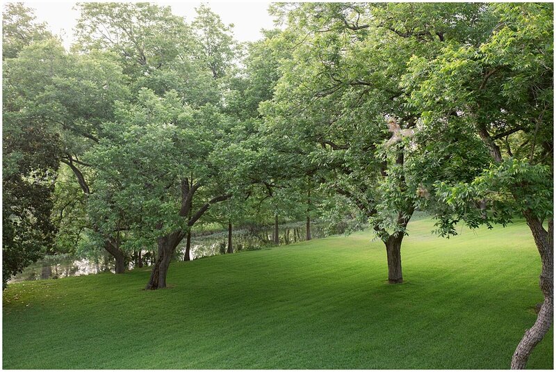 Lawn near Cypress Creek in Wimberley Texas