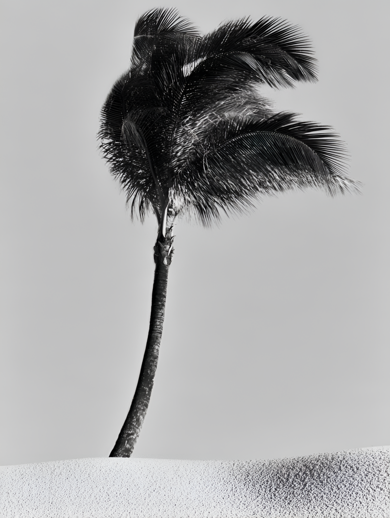 F639C0F7-1DC6-4FDB-8E9B-784F88F9DC6F