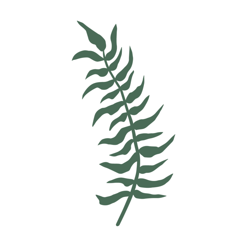green plant illustration
