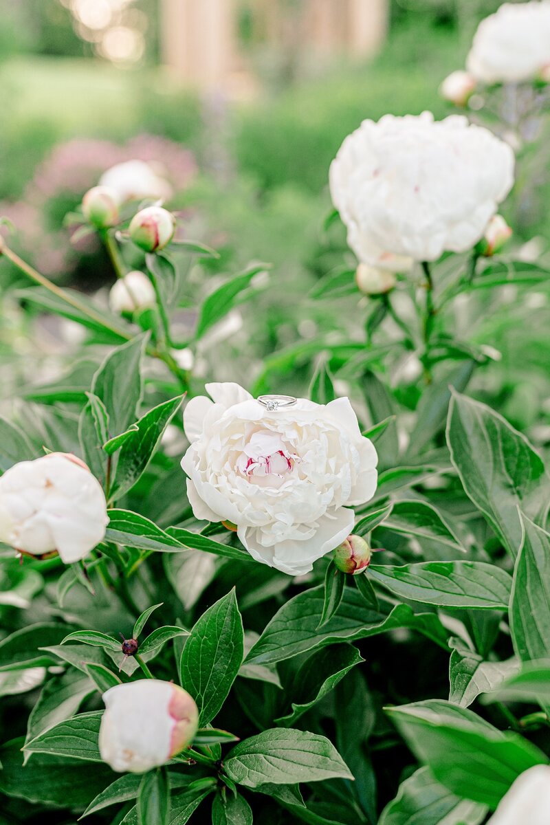 colorful-spring-garden-engagement-in-virginia-00017