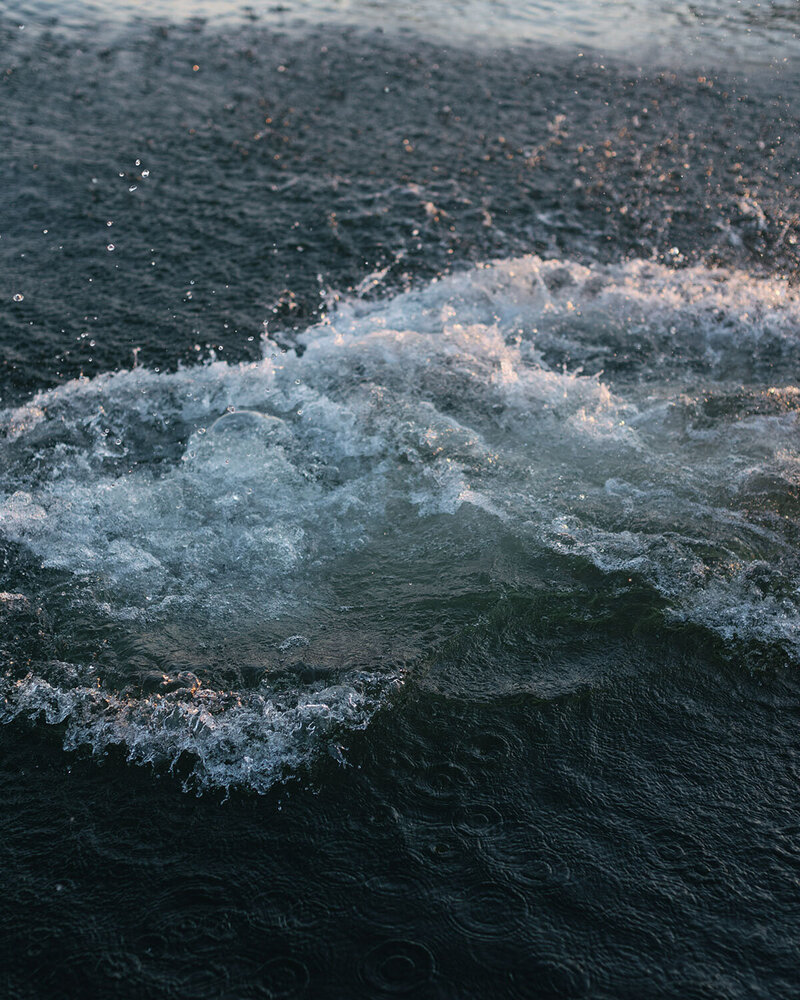 A splash of water creates ripples and foam on a dark, textured surface of a body of water.
