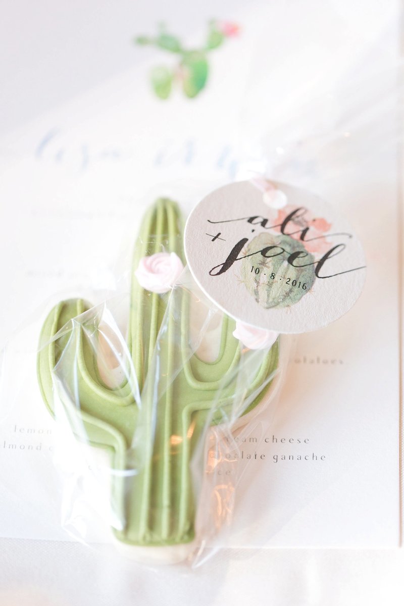 French Blue El Chorro Paradise Valley Wedding | Amy & Jordan Photography