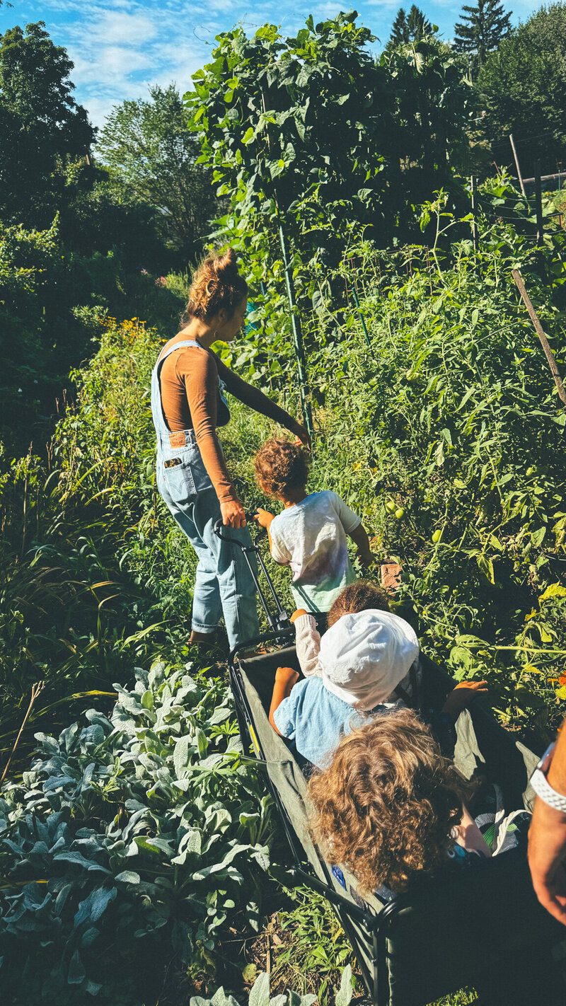 Hands-on learning activities for Gardens Program (ages 2.5-6)