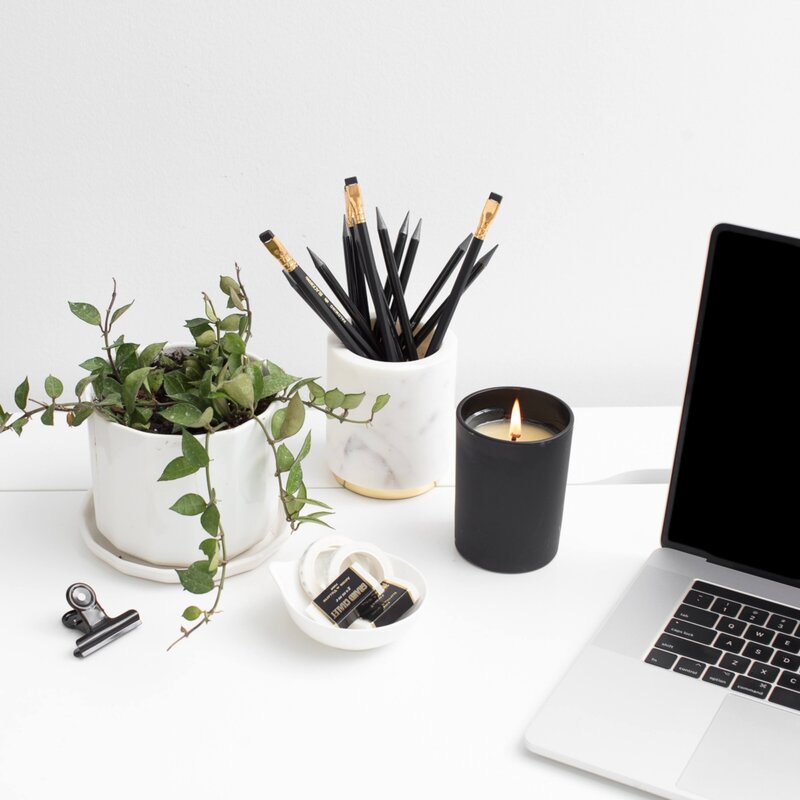 green vine plant in white pot with black pencils in a cup on a white desk