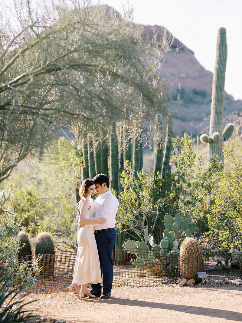 Desert Botanical Garden7