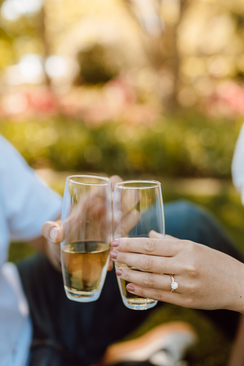 MCP-Laura & Ricardo0427