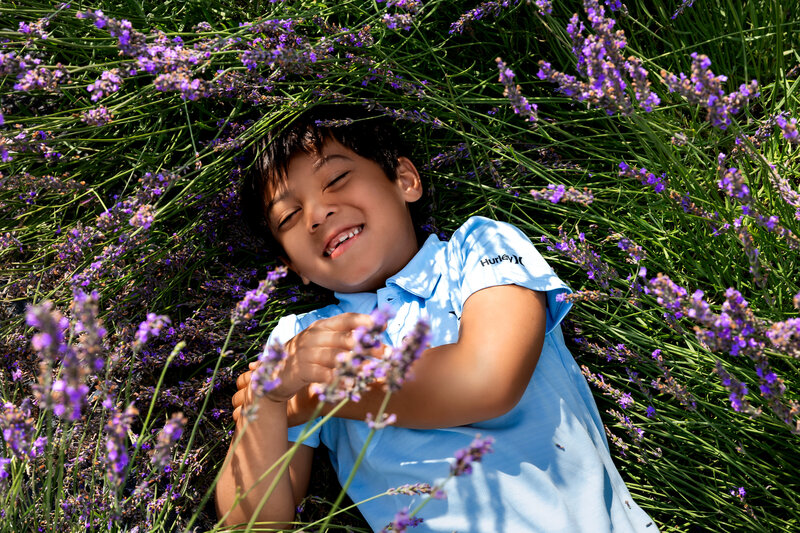 HoperFamily-Lavender_PDS-9513