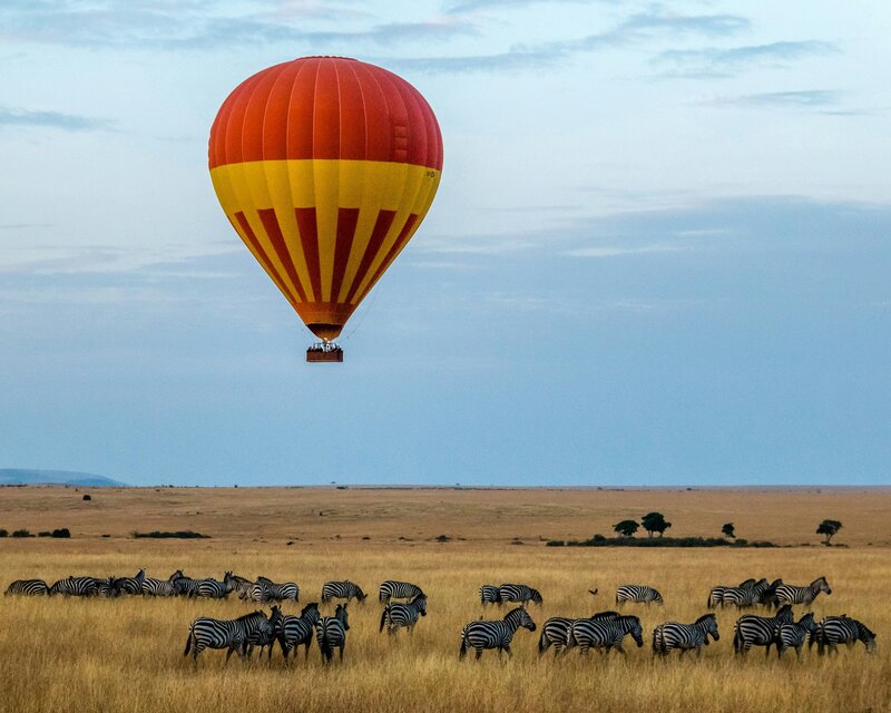 safari balloon