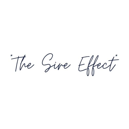 Blue script graphic