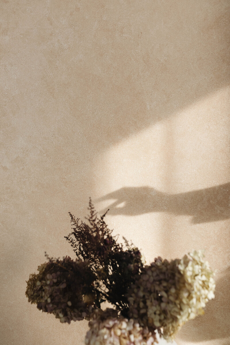 bride-and-groom-portrait