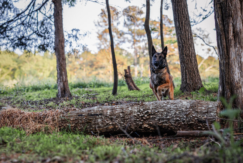 0T7A4367-Edit