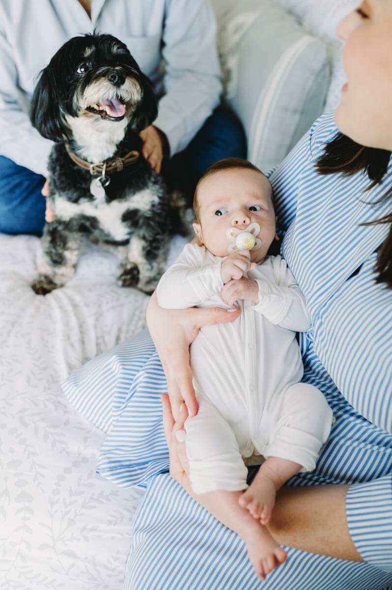 Linus-newborn-pet-and-newborn-chevy-chase-md
